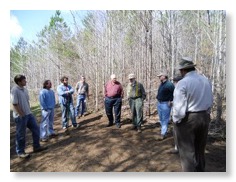 chestnut_planting_007.sm