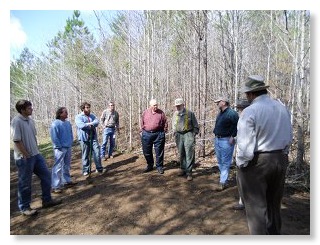 chestnut_planting_007.sm