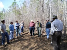 chestnut_planting_007.sm